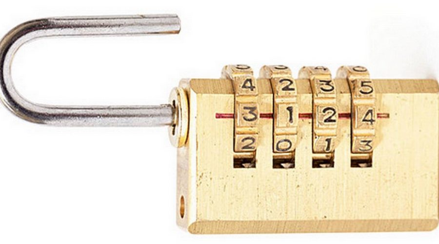 Unlocking the Potential of PLR Products